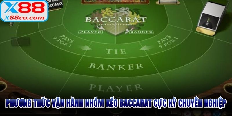 Phương thức vận hành nhóm kéo Baccarat cực kỳ chuyên nghiệp
